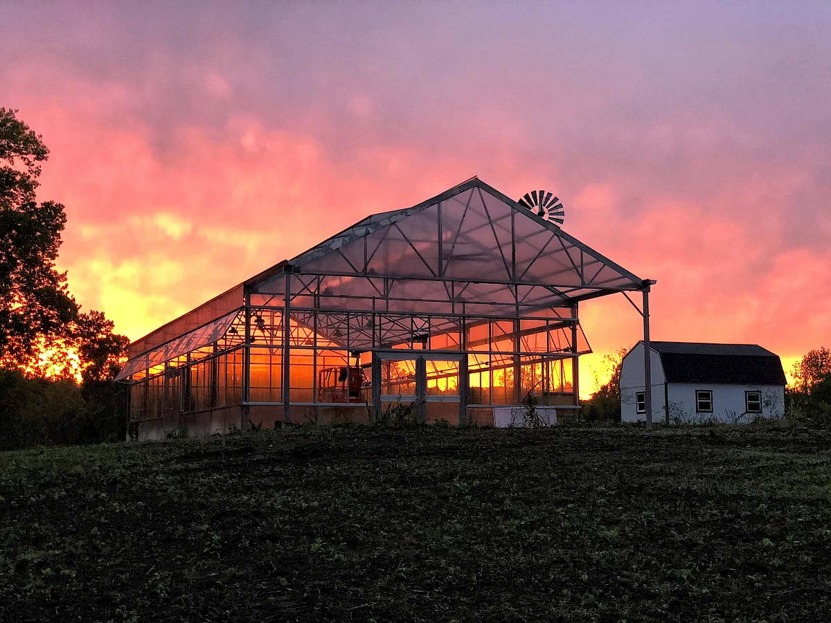 seminary_hill_farm_greenhouse