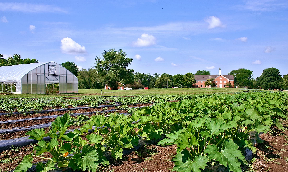 seminary_hill_farm