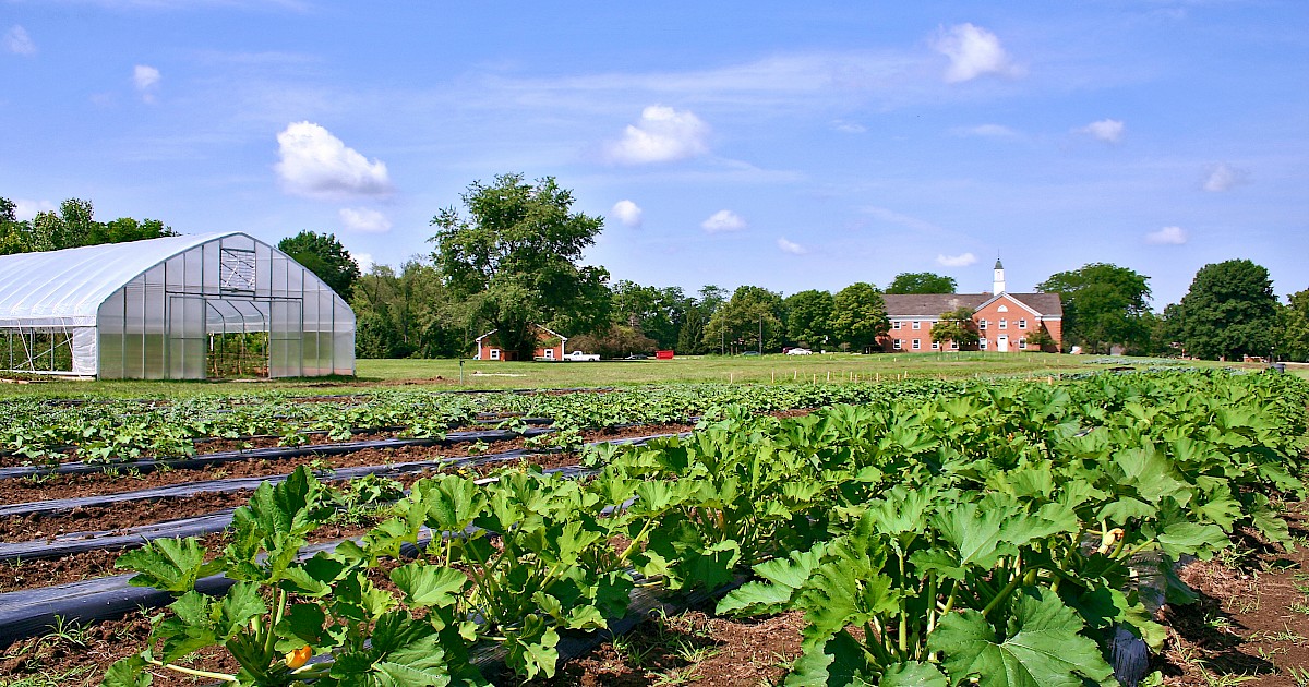 How We Farm Seminary Hill Farm