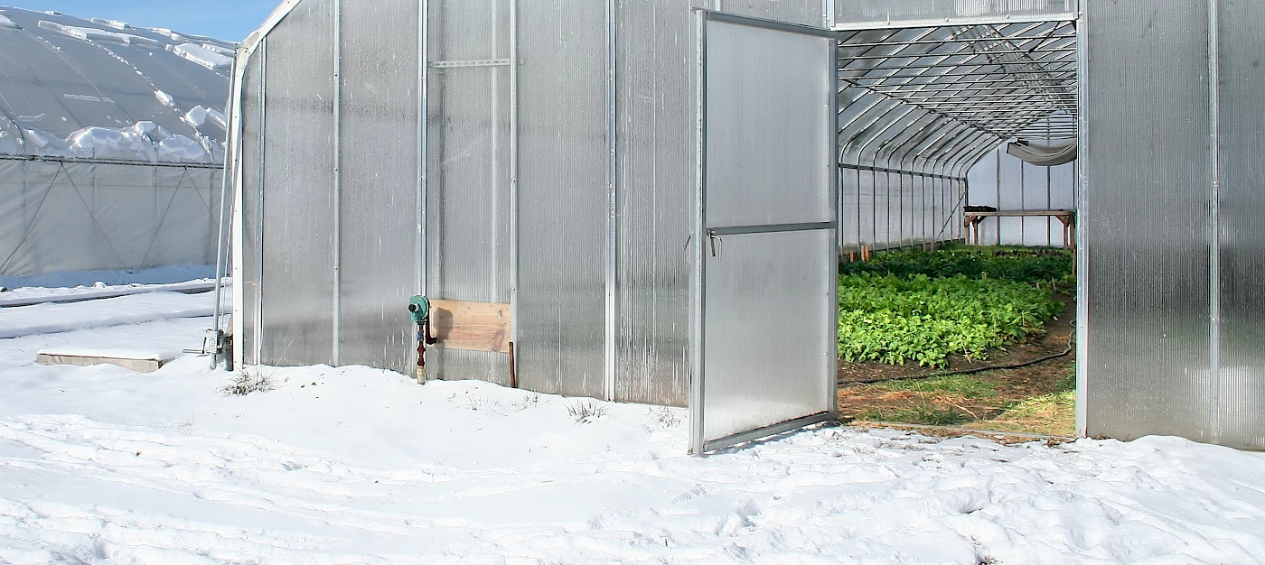 hoop_house_in_january