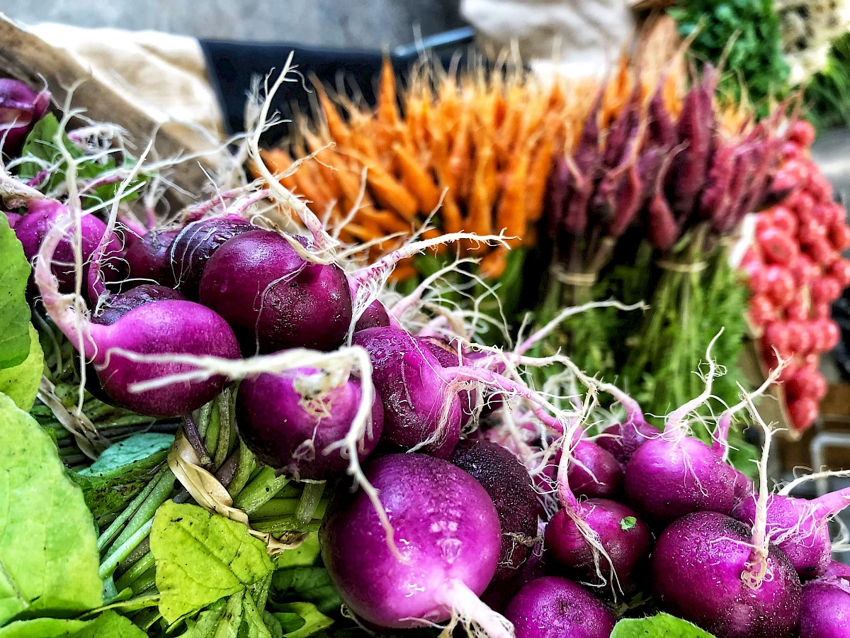Harvest