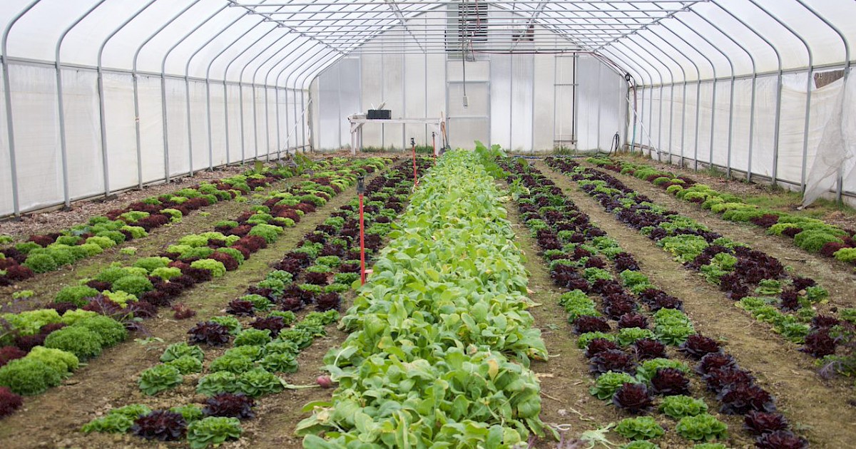 Seminary Hill Farm photo 20