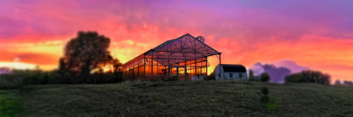 greenhouse_sunset_home_page_banner_with_blurring