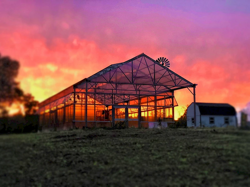 greenhouse_sunset_home_page_banner_with_blurring