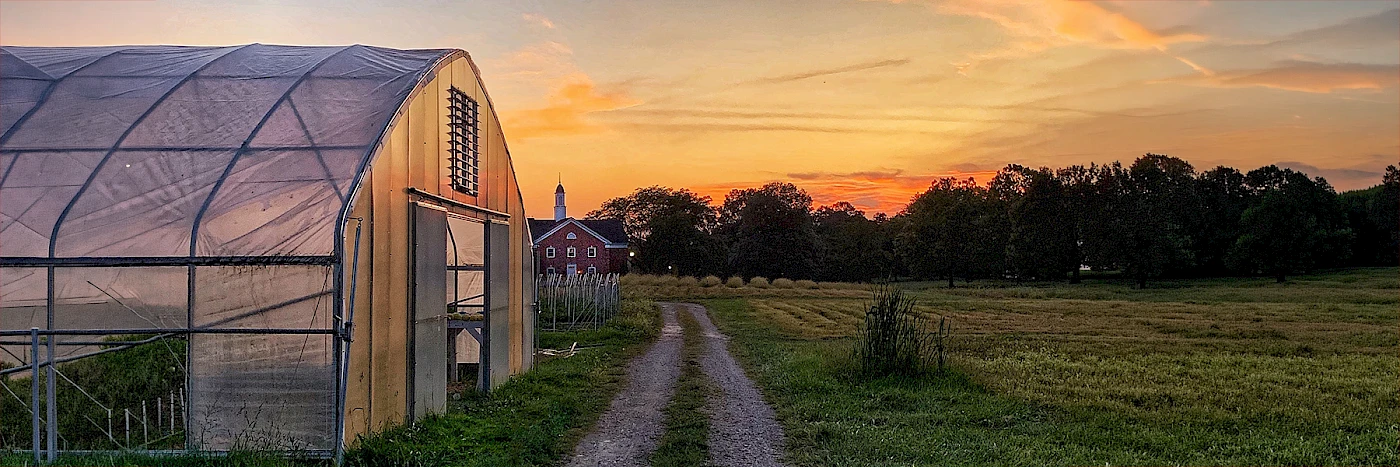 sunset_on_the_farm_home_page_banner